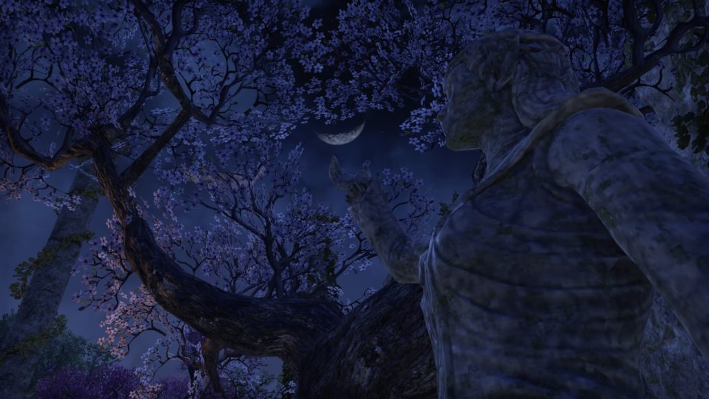 A Beautiful Night in Summerset