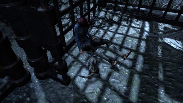 Locked up Like Caged Animals