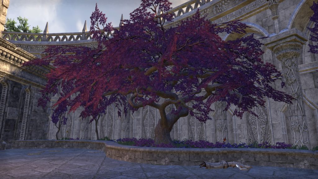 Death in the College Gardens