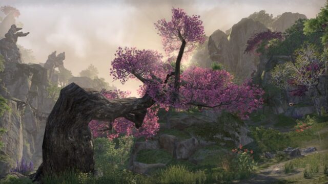 Gorgeous trees in King's Haven Pass Gorgeous trees in King's Haven Pass