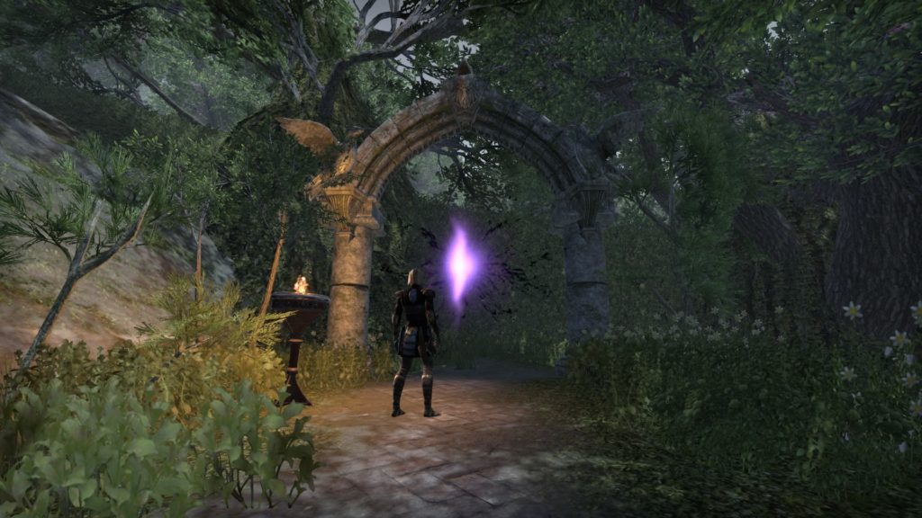 Portal into the cursed woods