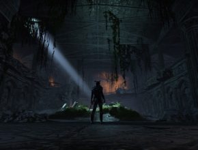 Creatures in Shimmerene