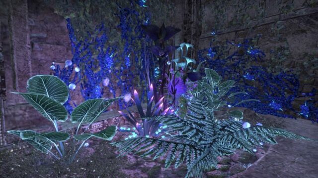 The blue garden The blue garden